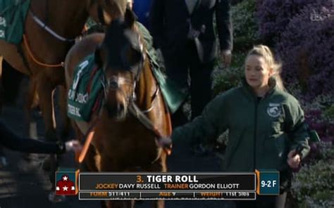 runners grand national 2019|Grand National 2019: Tiger Roll becomes first back .